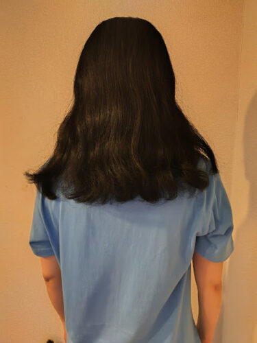 Gyutto使用前の写真