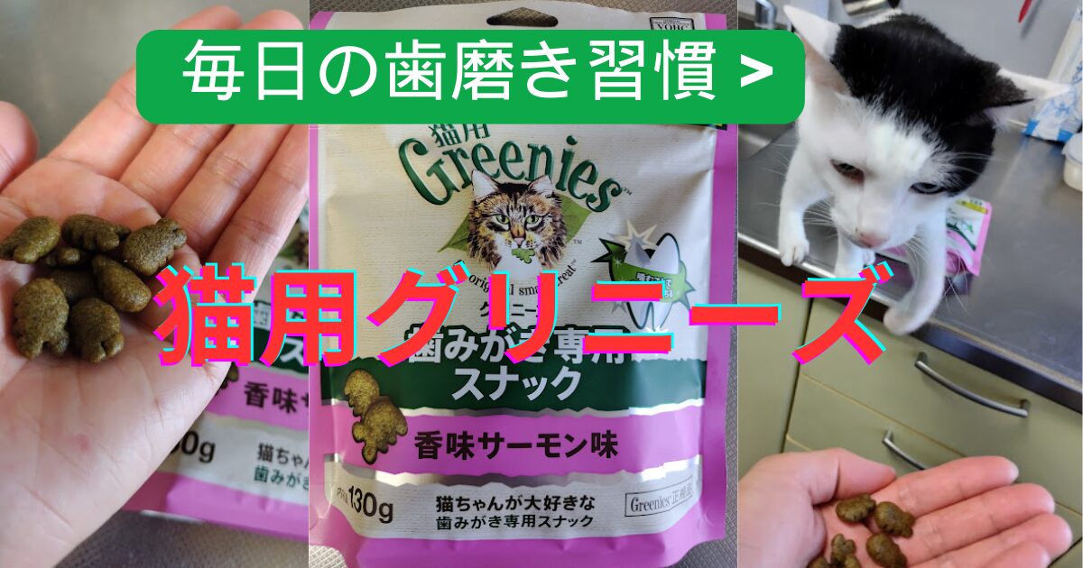 猫用グリニーズアイキャッチ画像