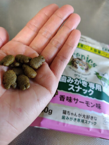 猫用グリニーズ粒の大きさ参考写真
