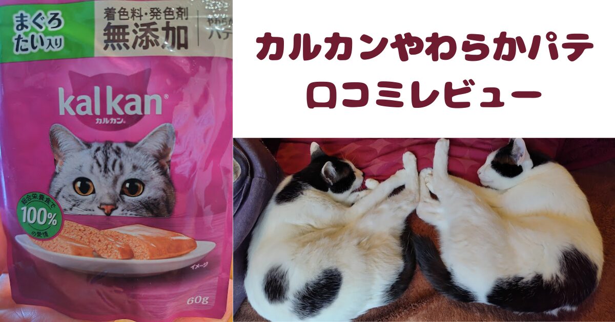 カルカンやわらかパテアイキャッチ